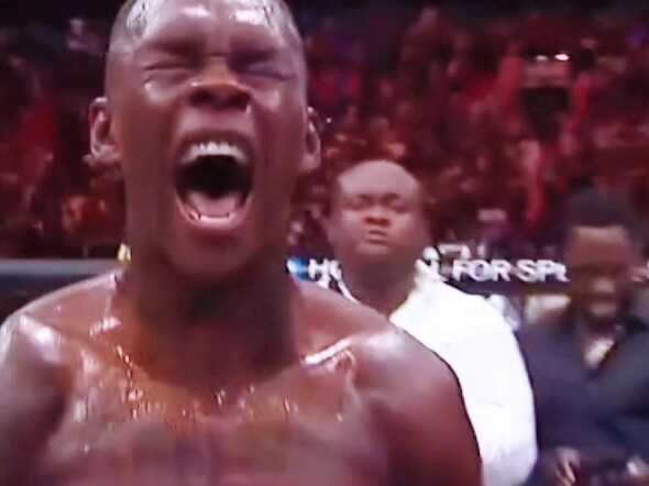 يمكنك إهانتي، لكن لا تمنحني فرصة للسخرية منك.