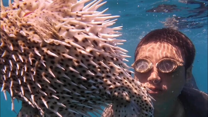 ตอนที่ 4 การเอาชีวิตรอดบนเกาะร้างในแอฟริกา (มาดากัสการ์): ใช้ทรัพยากรรอบตัว รวบรวมวัตถุดิบสุดพิเศษบน