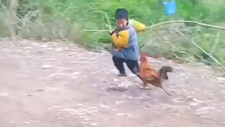 คุณมีความทรงจำที่โดนไก่จิกในวัยเด็กไหมคะ?55555