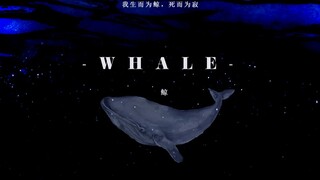 你会哭的  直击心脏的孤独  当你的灵魂坠入鲸的身体。原创歌曲《鲸》，生而为鲸，死而为寂 体验不一样的深海。