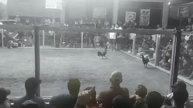 Hennie win VS Boss Idol SM Championship fight Kontrabarata pasensya na Sa vid  3cock