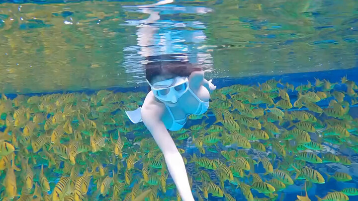 ฟุตบอลโลกกับฉันต้องดูอย่างน้อยหนึ่งรายการสิ!