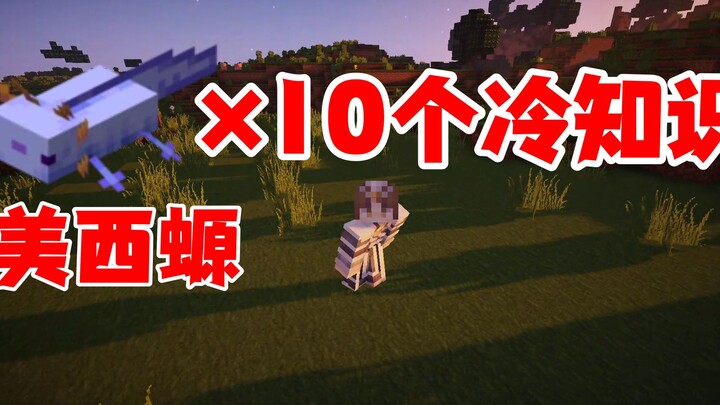 Kiến thức lạ về Minecraft: 10 điều thú vị về kỳ nhông axolotl mà có thể bạn chưa biết