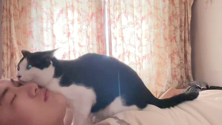 “Quy tắc gia đình”