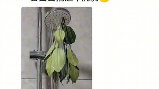 这大概就是AI永远代替不了人类大脑的原因，人类真的很莫名其妙哈哈哈哈