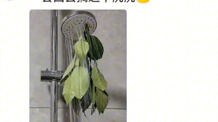 这大概就是AI永远代替不了人类大脑的原因，人类真的很莫名其妙哈哈哈哈