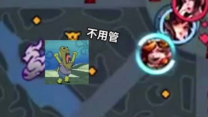 一次勇敢的指挥换了一辈子的内向