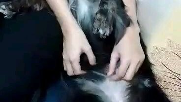 Casperot, ang pabebeng #Dachshund