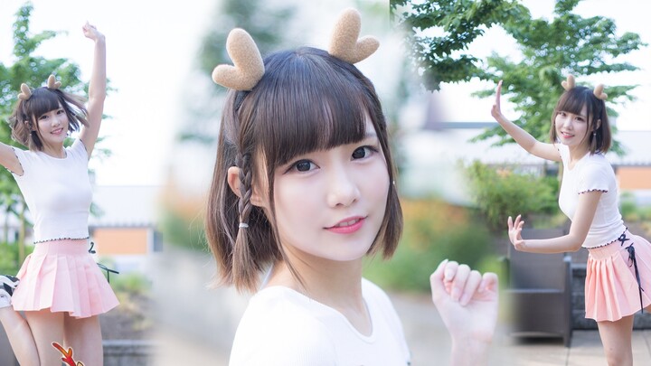 【ถั่วแดงรอบทุกวัน】กวางวิ่งไปรอบๆ (วิ่งหนีไปเรื่อยๆ น่าตื่นเต้นมาก) #รางวัลความสามารถสร้างสรรค์ใหม่#