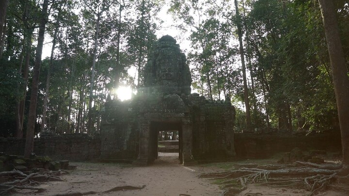 Ta Som - A Small Temple Holding the Great Vision of Unity under Jayavarman VII