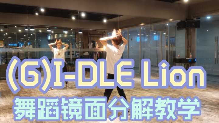 【坚坚】(G)I-DLE Lion 舞蹈镜面分解教学❤️让我们当一回帅气的狮子吧！