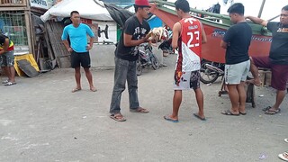 winner ulit