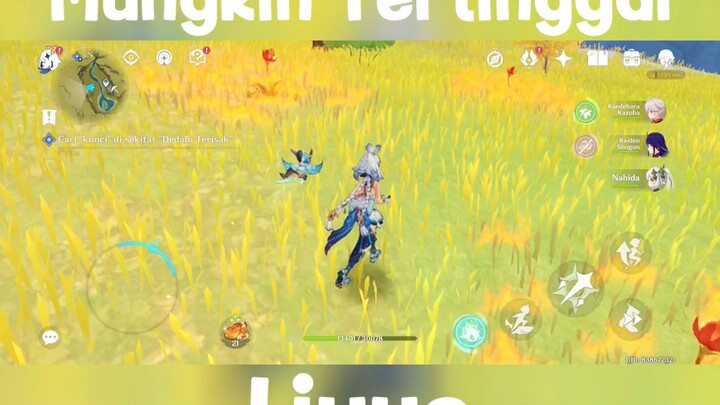 Hidden Chest Genshin Impact