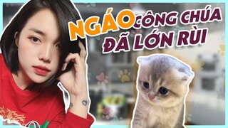 NGÁO CÔNG CHÚA MẮT SỤP NAY ĐÃ LỚN!