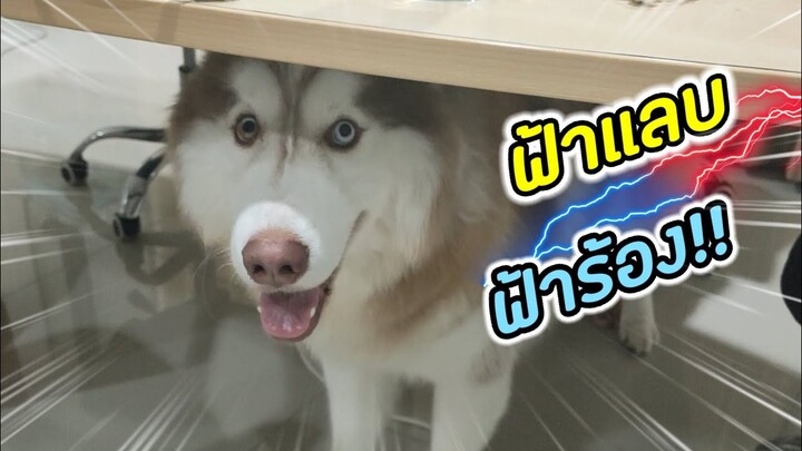อาการนี้ เรียก ว่า "กลัว" หรือเปล่า ???