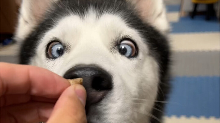 The Sun; Big Smart One Has Arrived. All of you, get out of the way!