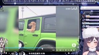 【霖雨蘭】日本花魁看《沙雕动物图鉴大赏》