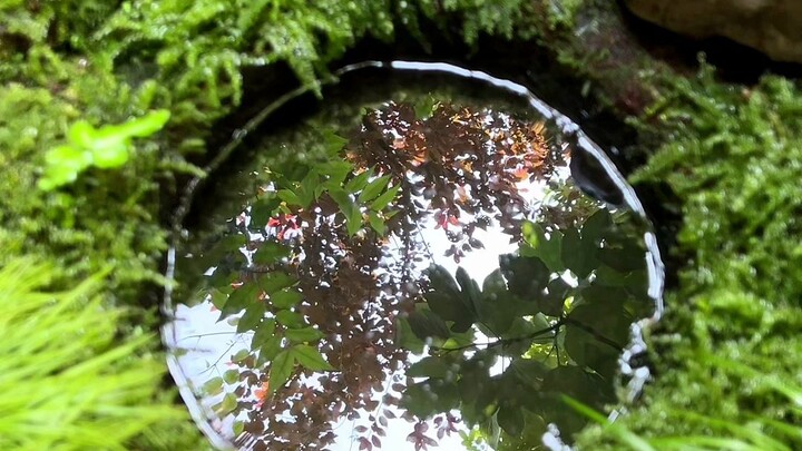 我发现，闲时清理下它，真的好治愈！！！