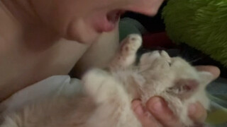 Little kitty, what's wrong with you?!