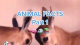 100% Real animal facts...