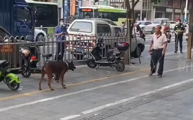 Full level uncle! The dog on the roadside was barking at people without a leash. The man used pliers