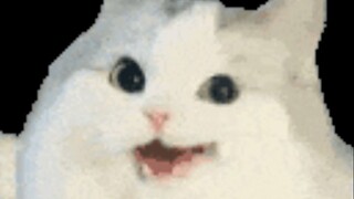 猫猫：本来大家都只是以为我被电傻了，现在好了，大家都知道我是真的傻了！