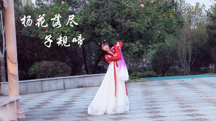 【Gaya Klasik Lembut】Bunga willow gugur, burung kukuk berbunyi✿ Matahari terbenam begitu indah, namun