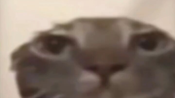 No 🌚