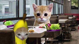 Banana Cat and Doll are lost and no one wants to pay for it