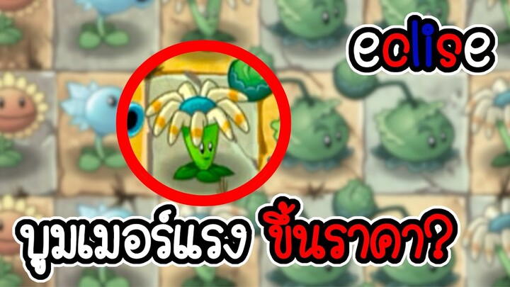 บูมเมอร์แรงขึ้นราคา??? - Plant vs Zombies ECLISE #01 [ เกมมือถือ ]