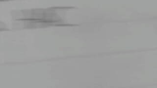 sự cố gắng 🌝