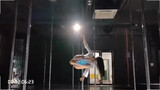 Pole dance classical style "Ghost of the Mountain"