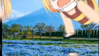 Debut GulBee si lebah 🐝