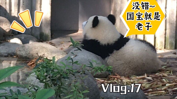 这玩意儿真的是国宝吗？？？