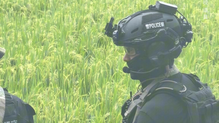 Infanteri menjadi pasukan khusus, polisi anti huru hara menjadi pasukan lapangan.