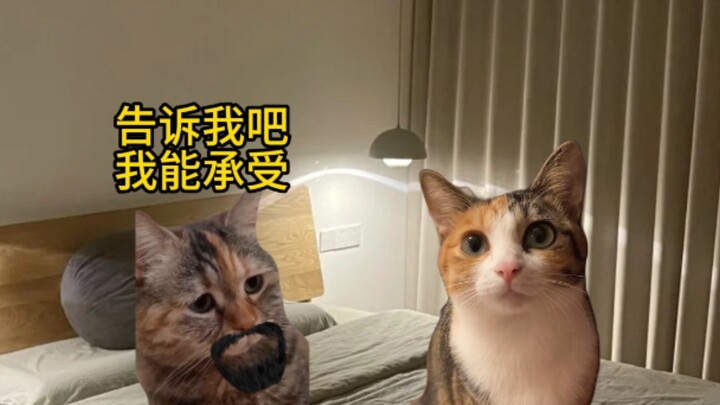 Đây là trả ơn hay trả thù?