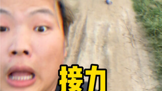 双 标