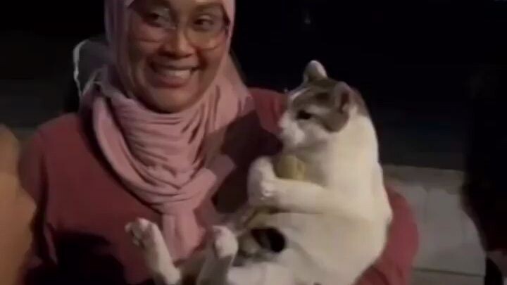 Saya curiga dia bukan kocheng