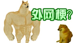 【梗百科159】警笛头？地狱把妹王？封面这两只狗你知道都叫什么吗？？？？？！！！
