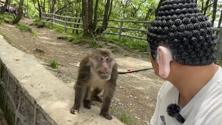 血脉压制(一)