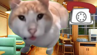 【Cat meme】Going to investigate a case with Momo: I’m a trainee, the first day of independent police 
