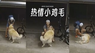 国外一网友发现自家自行车被偷，结果通过监控看到了又好气又好笑的画面