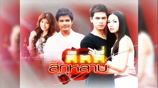 ลิลลี่สีกุหลาบ 14