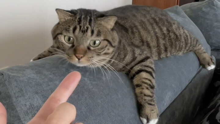 Chou Juanbao’s daily life is way more exciting than my entire life!