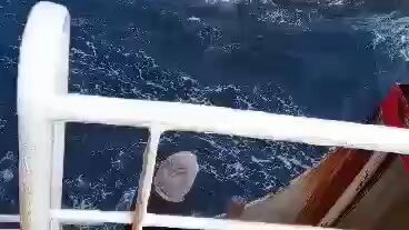 tersangkut merlen