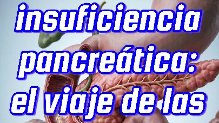 💊     La insuficiencia pancreática: el viaje de las enzimas