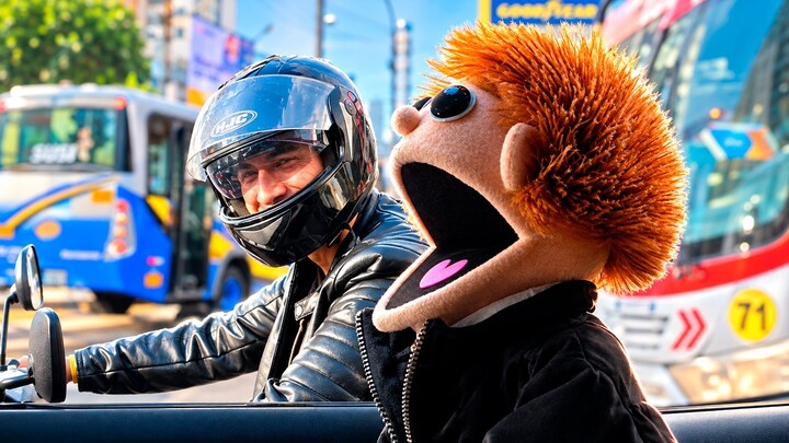 Puppet Blasts Heavy Metal in Traffic (Best Reactions)