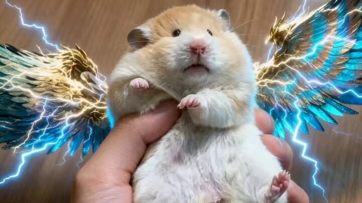 ⚡【หานลี่】QQรัก — แม้ต้องเผาเลือดวิญญาณก็ต้องมีชีวิตอยู่! 😭👊🏻⚡
