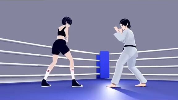 Boxing vs karate🔥