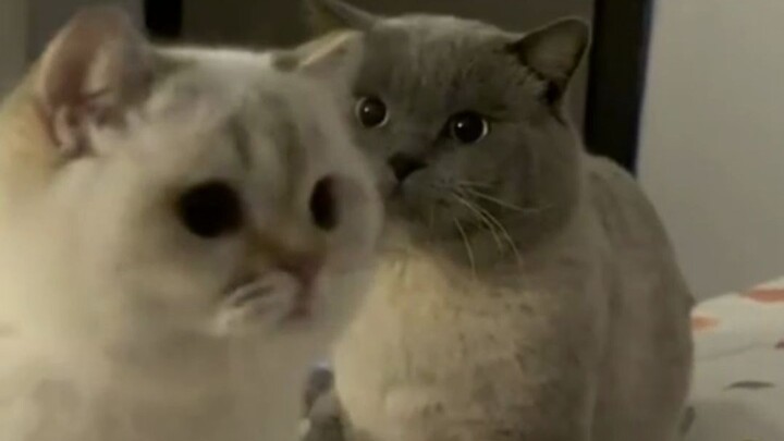 I guess you just can’t hide the look of love in your eyes—my whole world is filled with you.